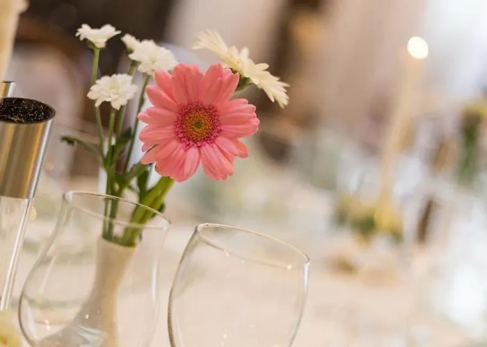 蒂尔曼酒店 Mittenaar