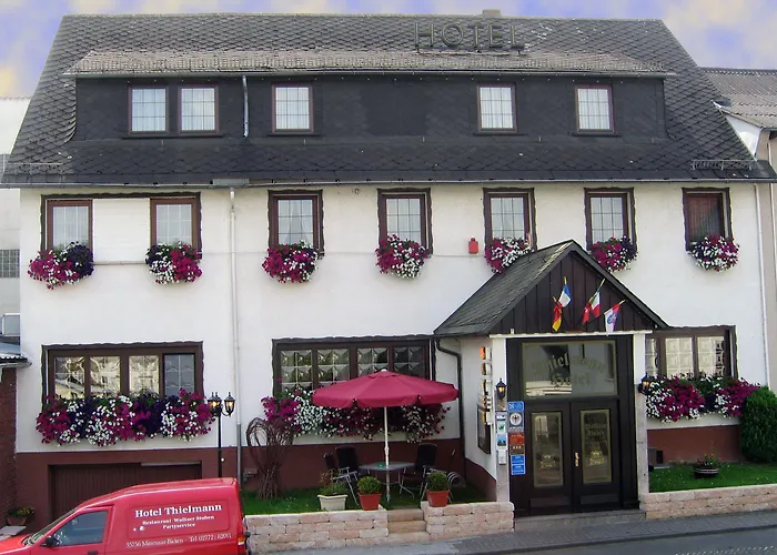 蒂尔曼酒店 3* Mittenaar